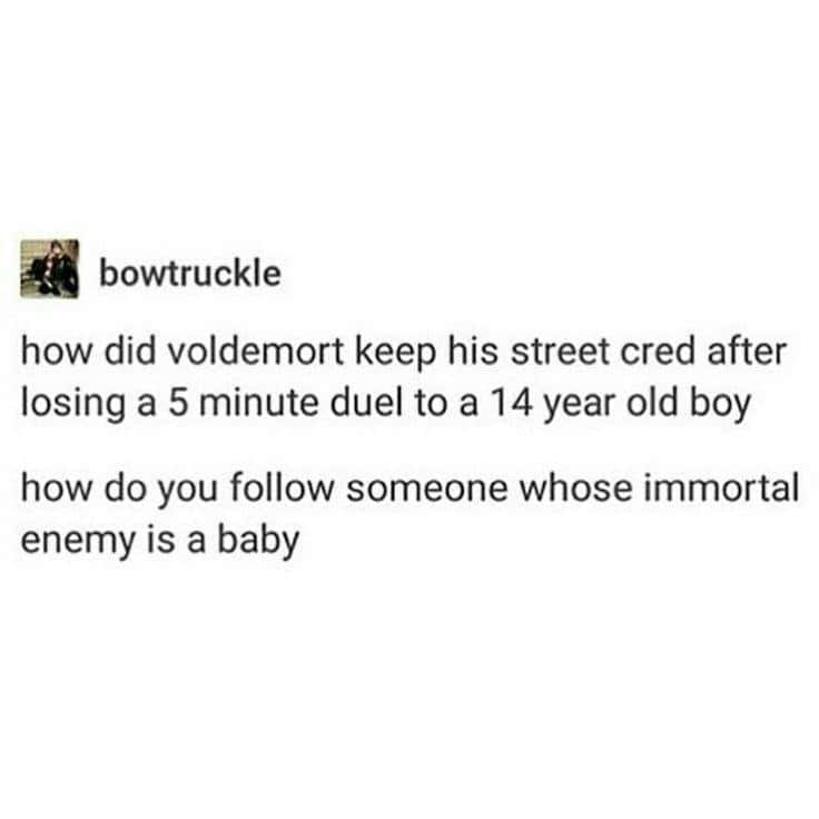 A classic and funny Tumblr post questioning how Lord Voldemort managed to keep his street cred while his immortal enemy was a baby.