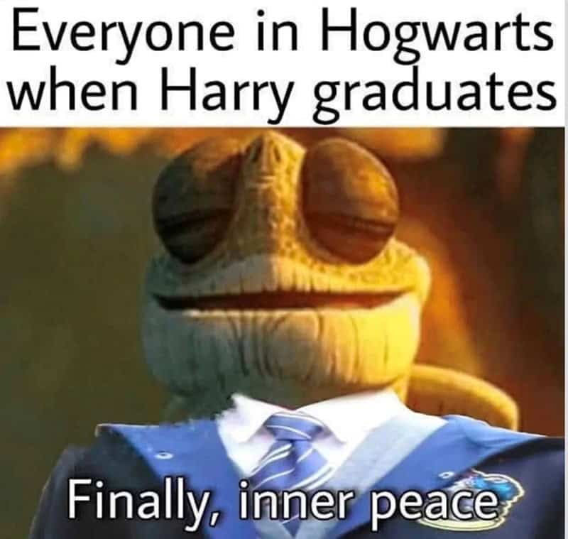 A Master Oogway from Kung Fu Panda meme joking that everyone at Hogwarts finally found "inner peace" after Harry Potter graduated.