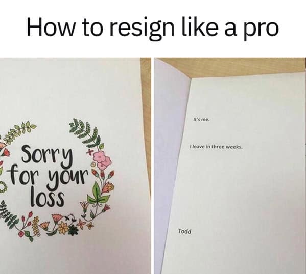 35 Work Memes You’ll Paste Into Teams Before Noon