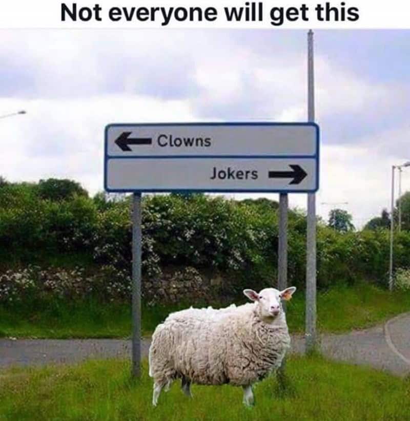 A funny visual pun based on the Stealers Wheel song "Stuck in the Middle with You."