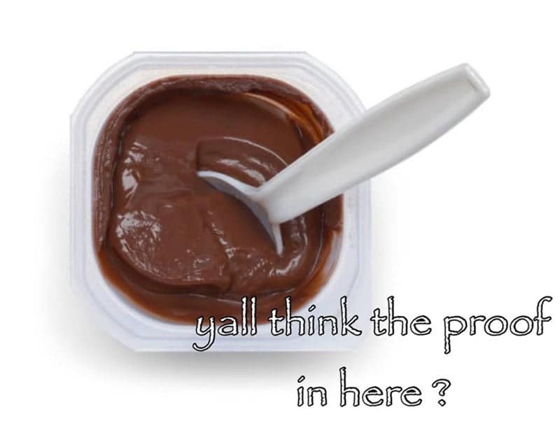 A chocolate pudding cup with the caption "yall think the proof in here?", a classic of absurd memes.