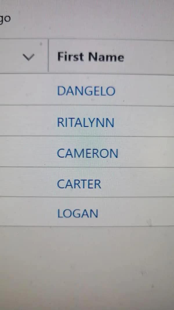 A list of first names on a computer screen, including the very questionable and bad name "Ritalynn."