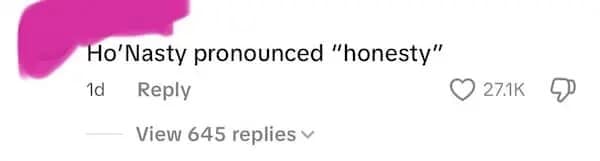 A funny comment suggesting the bad name "Ho'Nasty" could be pronounced as "Honesty."