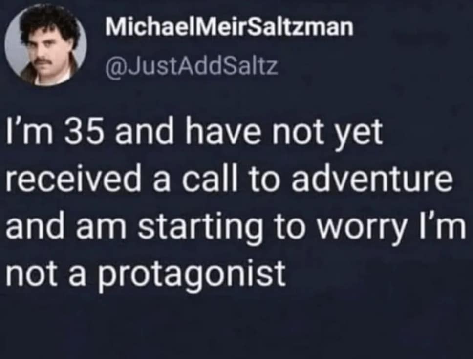 A classic meme from a viral tweet where someone worries they aren't a protagonist because they haven't received a "call to adventure" by age 35.
