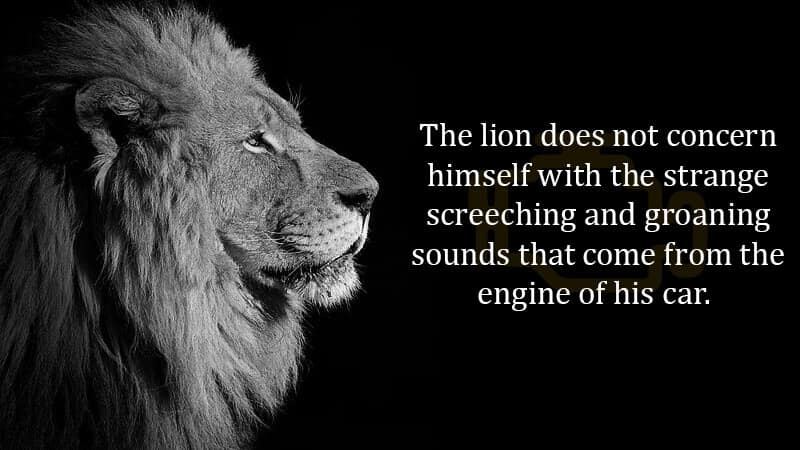 A vintage meme using a stoic lion to represent a man ignoring the strange sounds coming from his car engine.