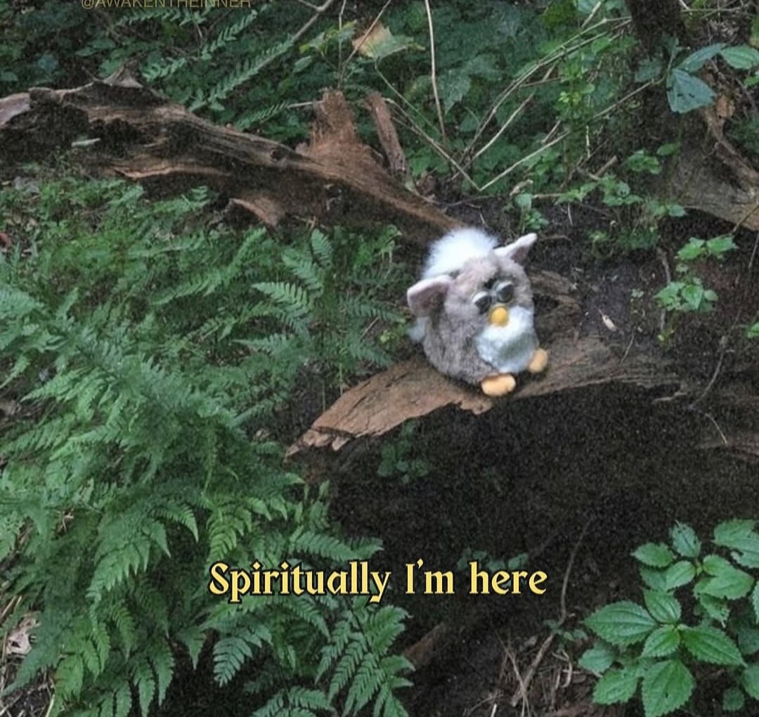 A classic meme with a creepy Furby in the woods and the caption, "Spiritually I'm here."