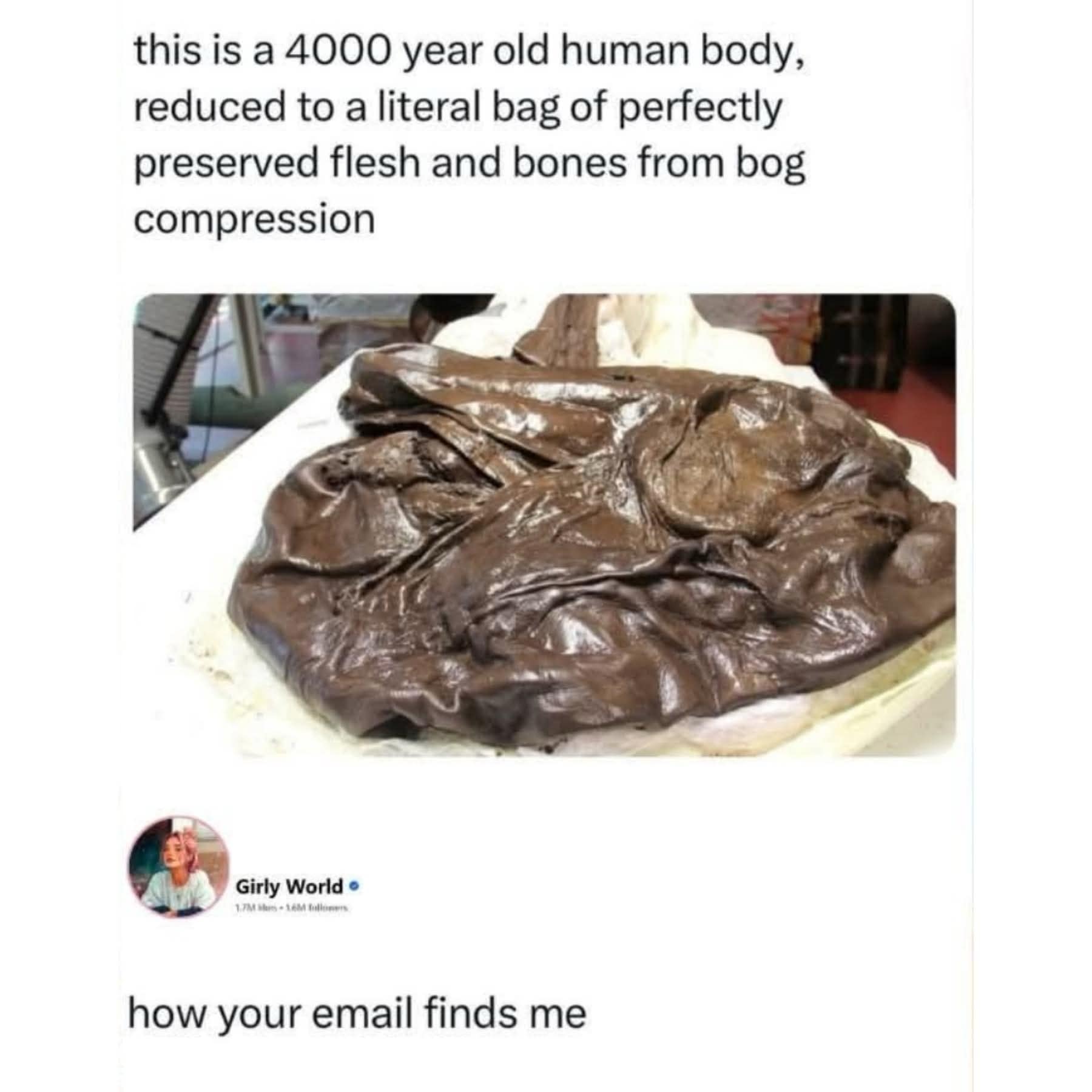 A classic meme comparing a 4000-year-old bog body to how "this email finds me."