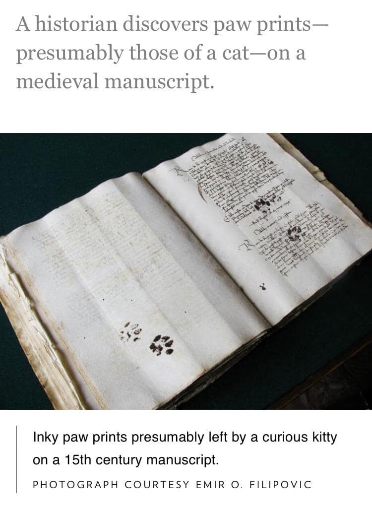 A wholesome vintage meme showing a 15th-century manuscript that has inky cat paw prints across the page.