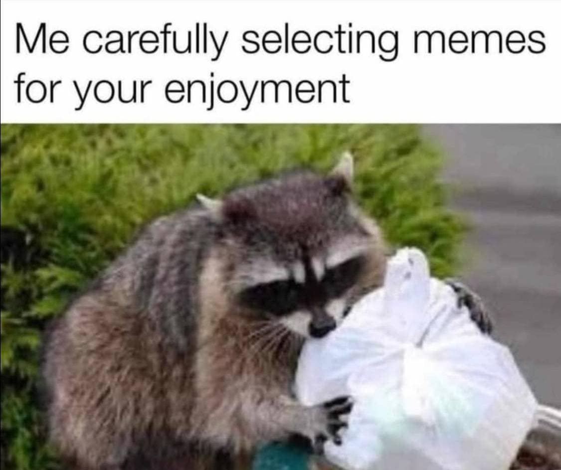 A classic meme of a raccoon holding a trash bag representing someone selecting memes.