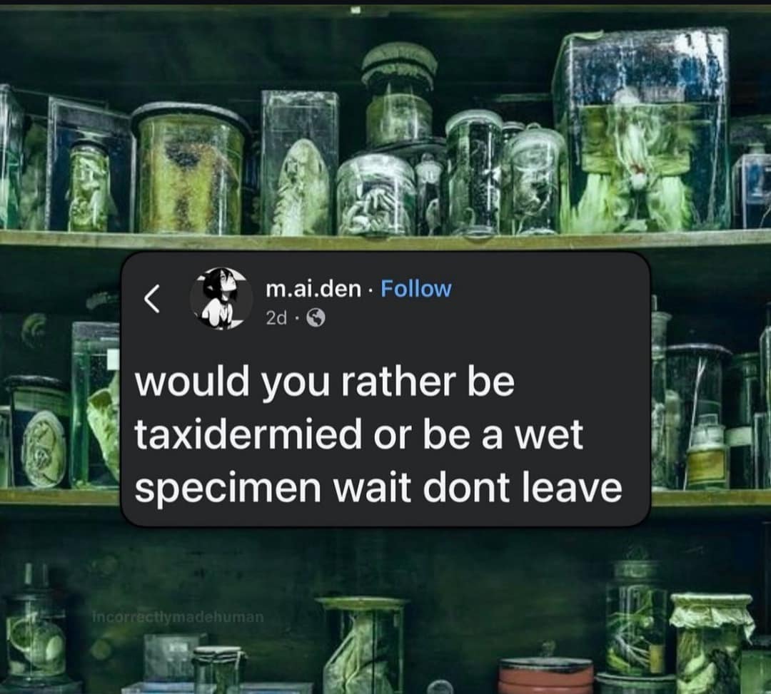 A classic meme of a weird, creepy question about being taxidermied versus a wet specimen.