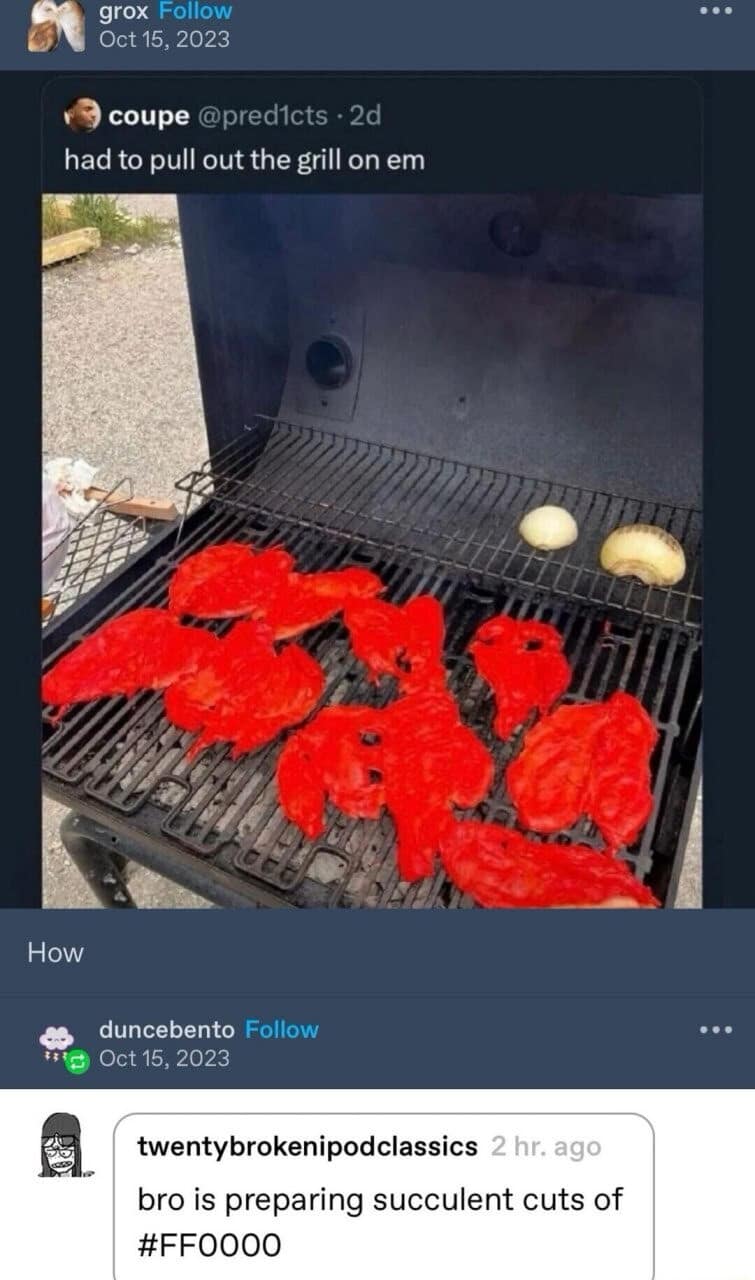 A funny classic meme about grilling Flamin' Hot Cheetos with a nerdy hex code comment.