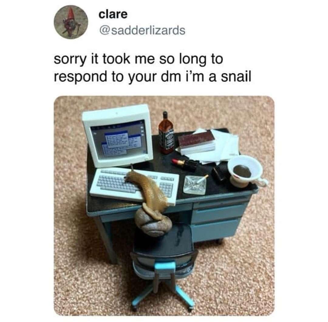 A classic meme of a viral tweet using a picture of a snail at a desk as an excuse for a slow DM reply.