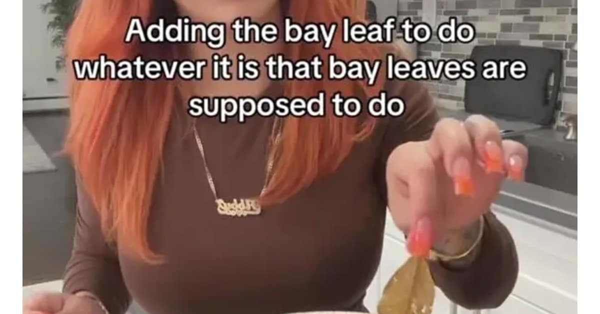 A gallery of the internet's best classic memes, featuring a hilarious and random assortment of old memes and viral tweets.