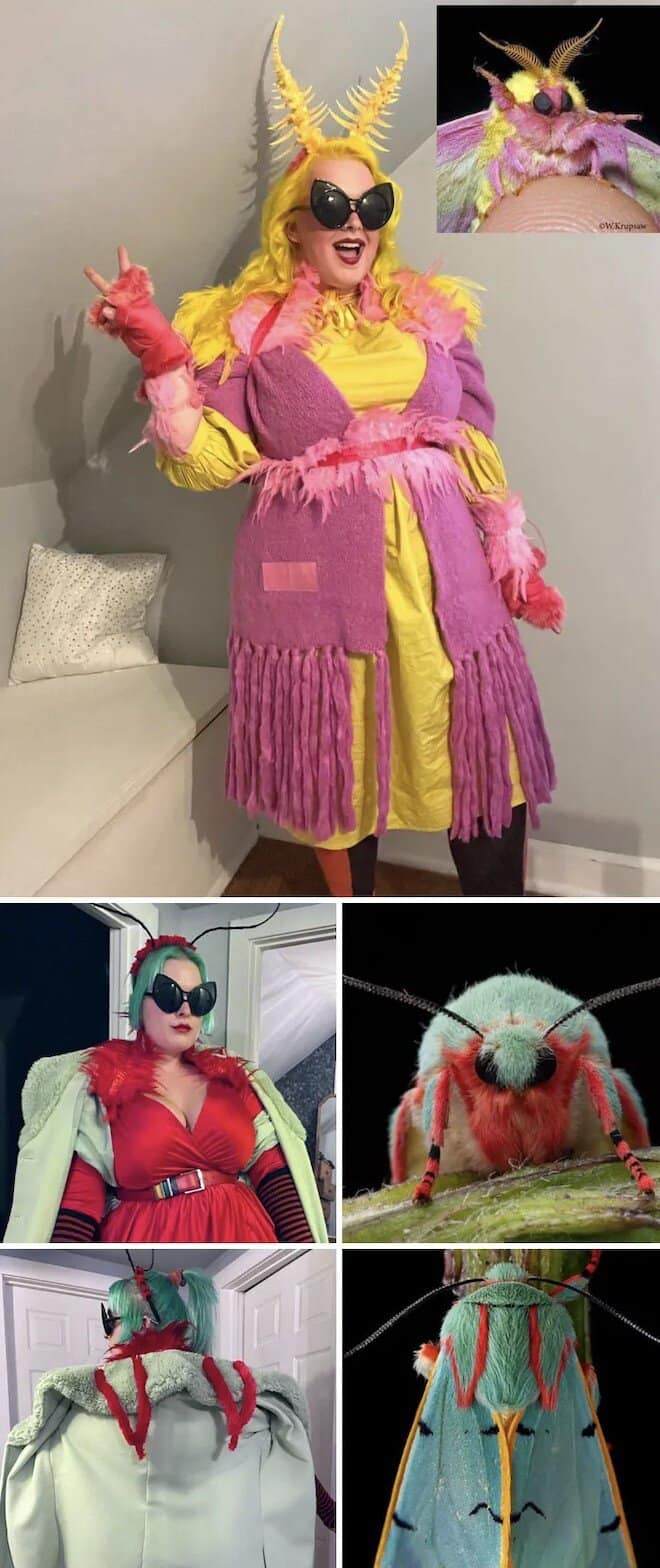 Two colorful homemade costumes inspired by the Rosy Maple Moth and the Io Moth species.