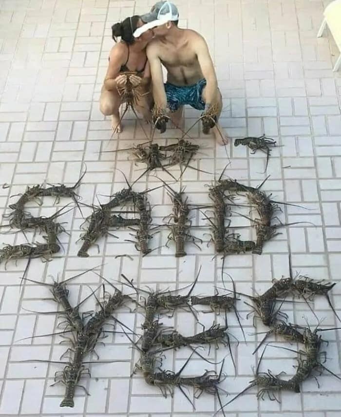 A cursed image showing a marriage proposal spelled out on the ground using dozens of dead lobsters.