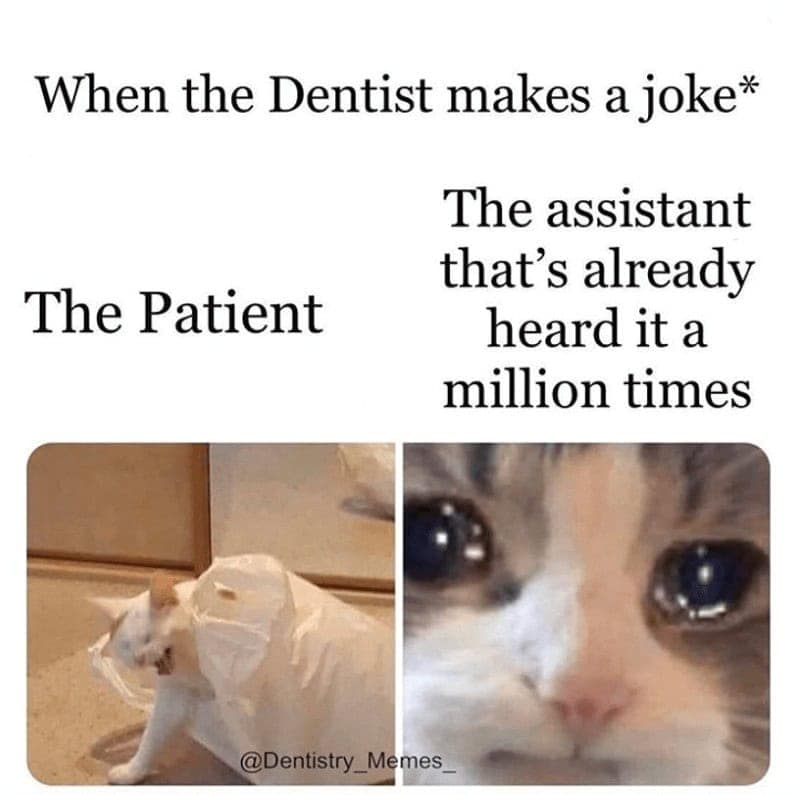 A cat meme comparing a patient and assistant's different reactions to a dentist's old joke.