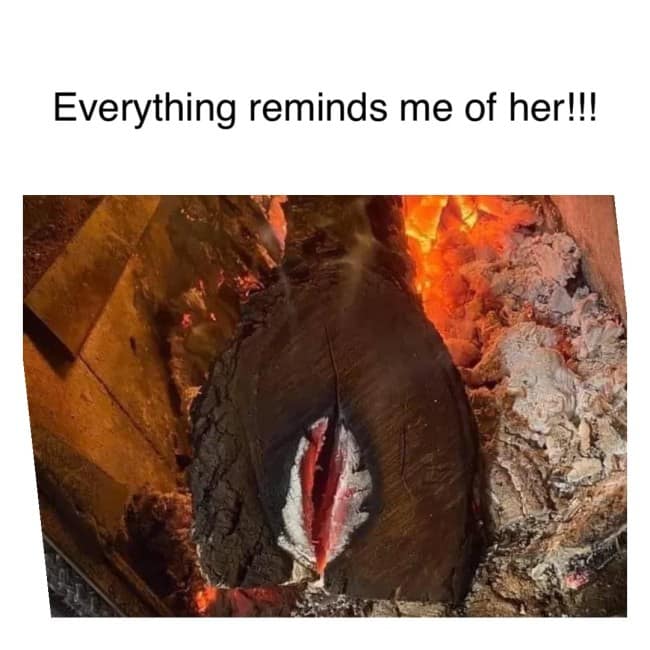 An "Everything reminds me of her" meme featuring a burning log that looks very suggestive.