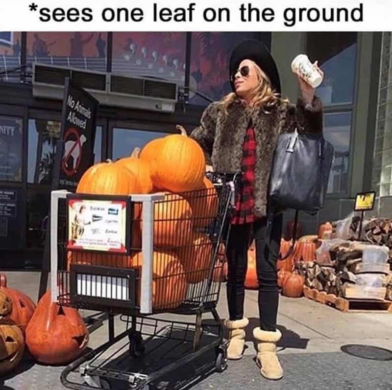 Woman in full fall fashion immediately buying pumpkins after seeing a single fallen leaf meme.