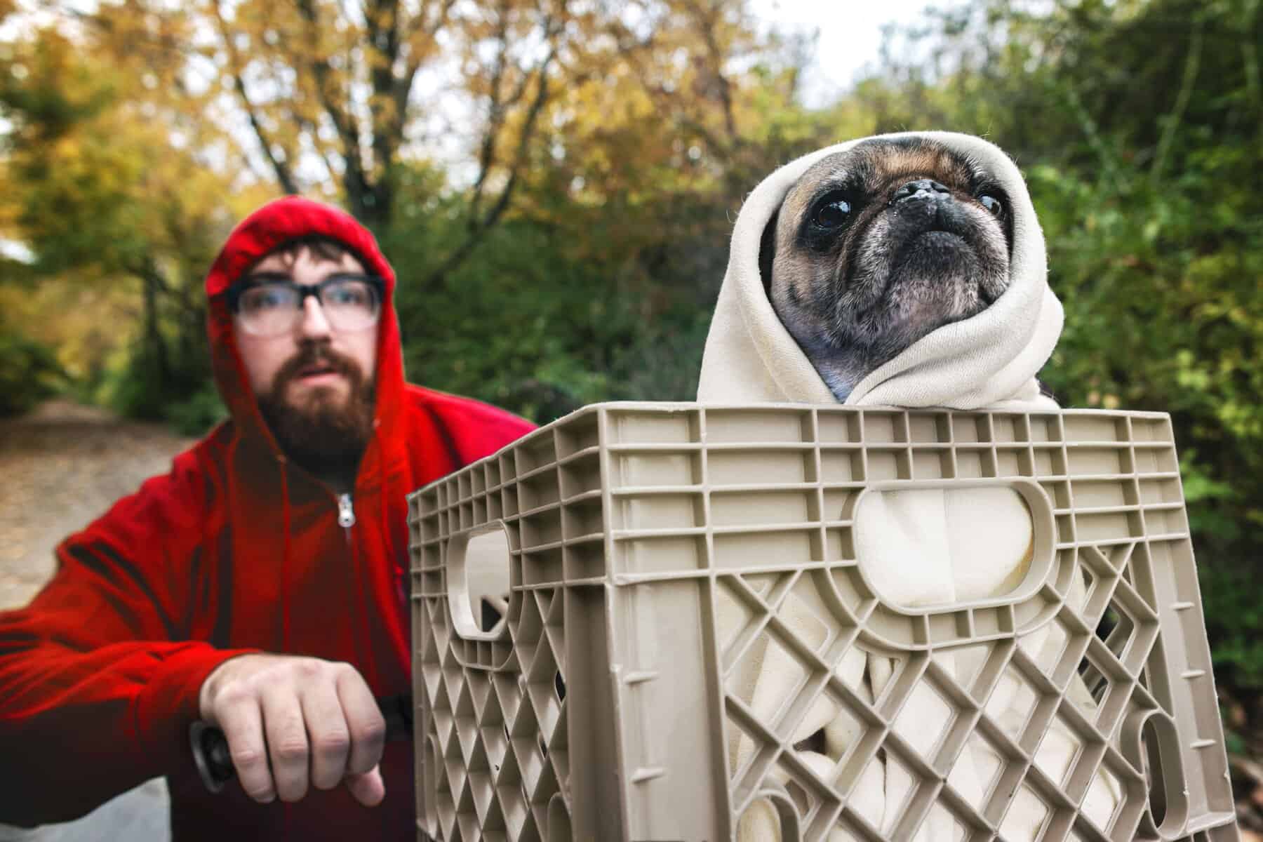 A man in a red hoodie recreates the iconic E.T. scene with his pug in a bike crate.