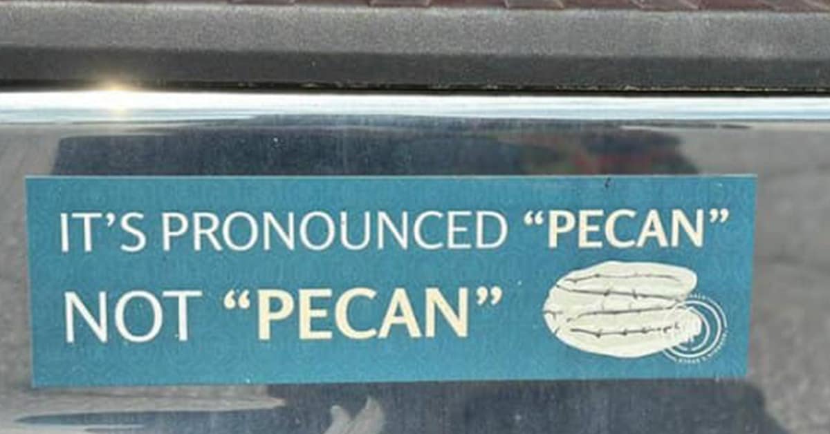 A gallery of the most hilarious and unhinged funny bumper stickers spotted in the wild.