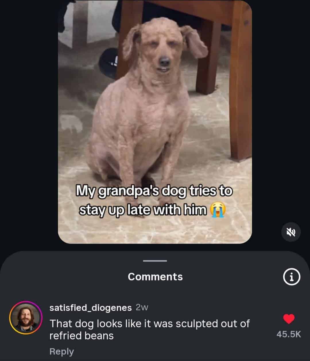 A tired, shaved dog with a funny comment saying it looks like it's sculpted from refried beans.