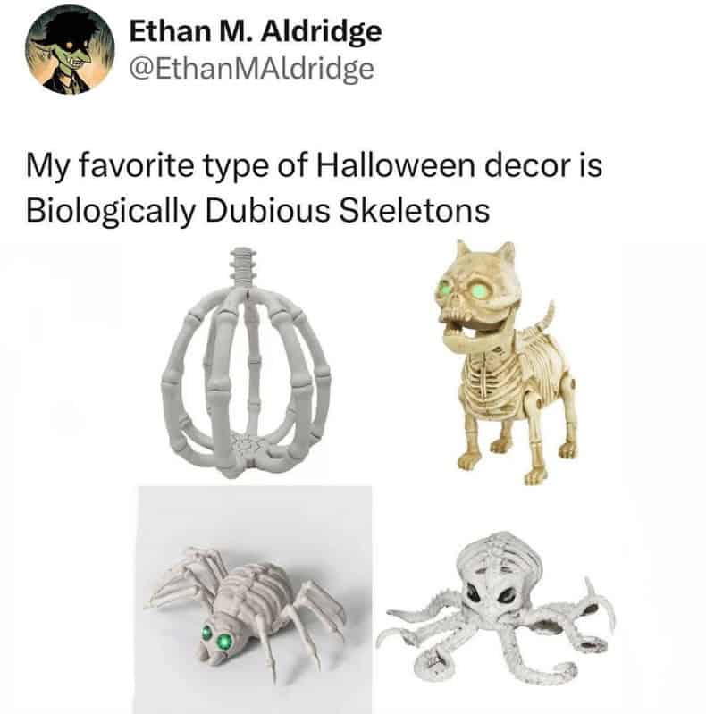 A funny tweet celebrating "biologically dubious skeletons" like those of pumpkins, spiders, and octopuses.