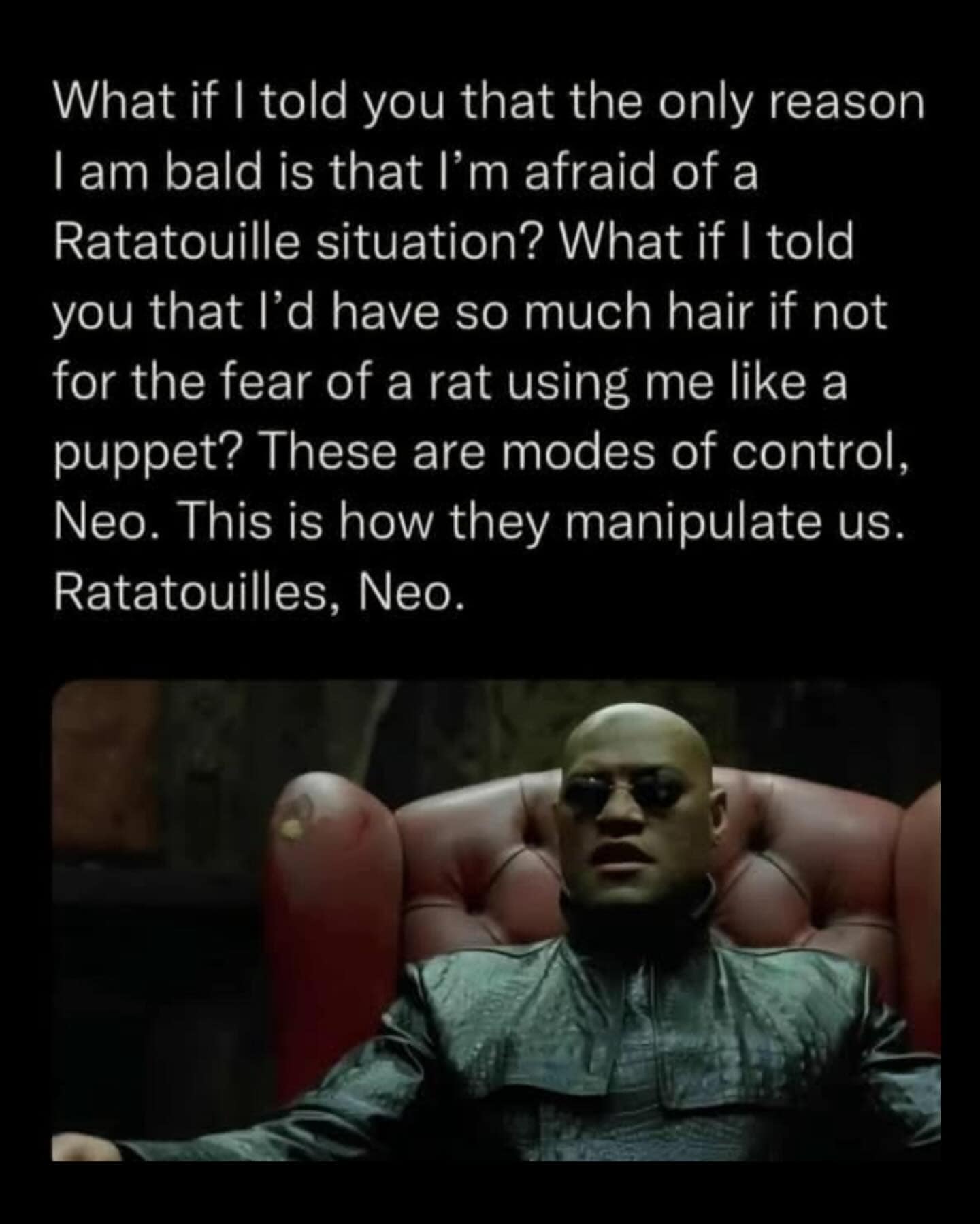 A Morpheus meme from The Matrix explaining a conspiracy theory about being bald to avoid a Ratatouille situation.