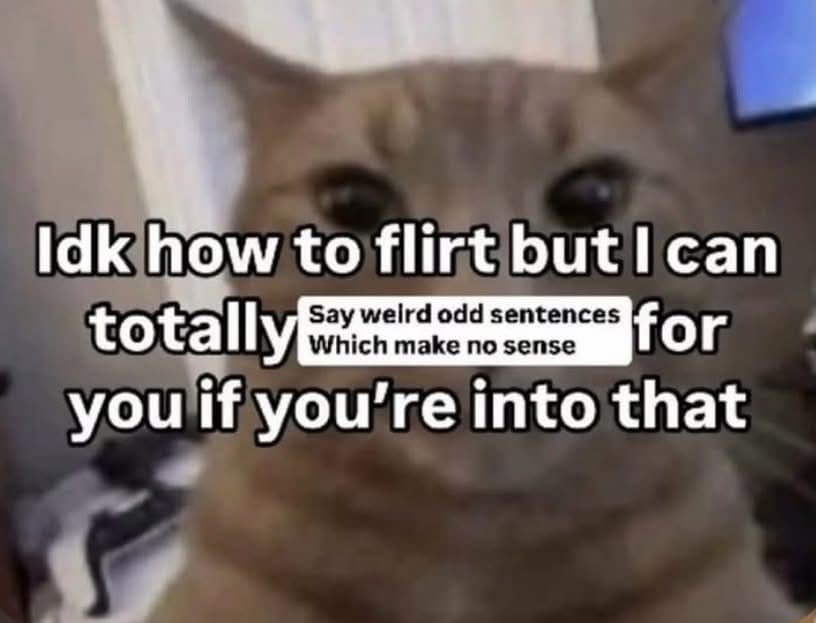 A cute and funny cat meme about being bad at flirting but good at being weird and random.