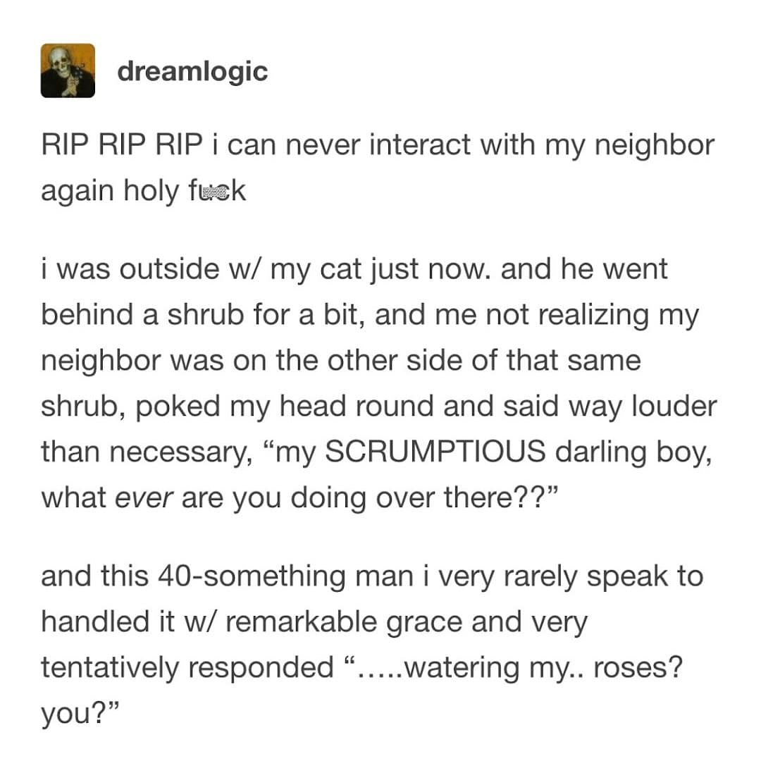 Funny Tumblr post describing an awkward interaction after yelling affectionate nonsense at a cat near a neighbor.