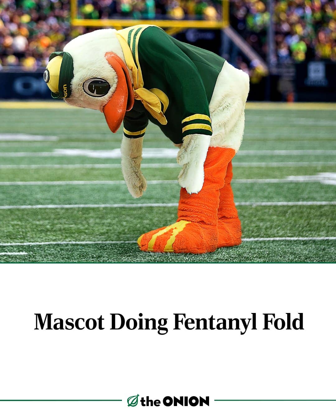 Funny memes Onion headline joking about the Oregon Duck mascot doing the "Fentanyl Fold."