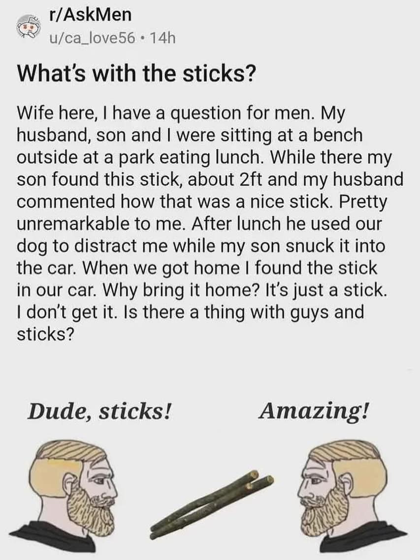 A funny meme that uses a Reddit post and the "Chad" meme to explain why men love finding cool sticks.