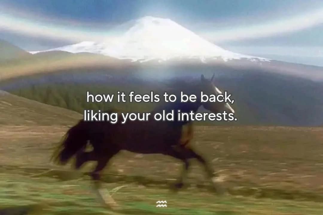 A majestic horse running free in a field, a wholesome meme about rediscovering old interests.