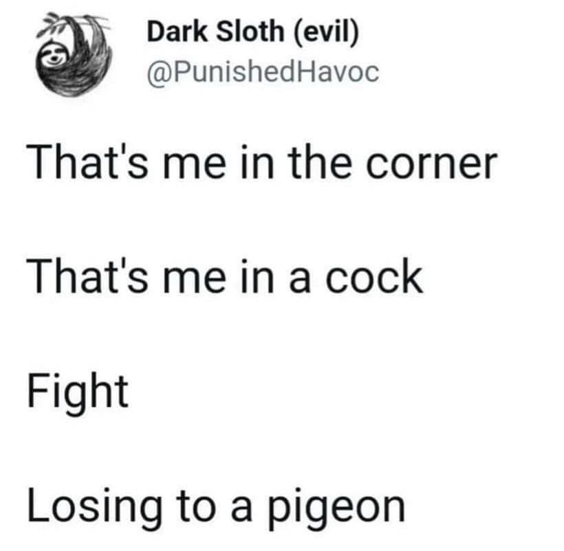 Funny tweet rewriting R.E.M.'s "Losing My Religion" lyrics into a story about losing a cockfight to a pigeon.