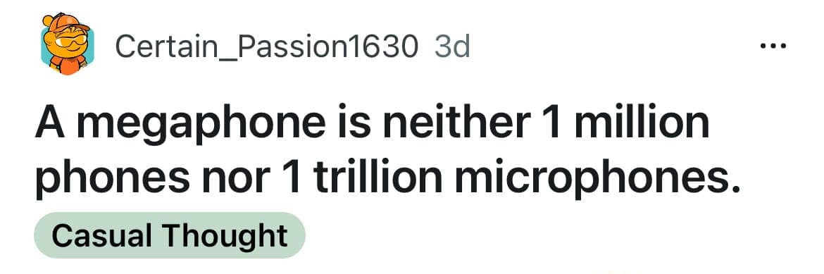 A funny shower thought pointing out that a megaphone is not one million phones.