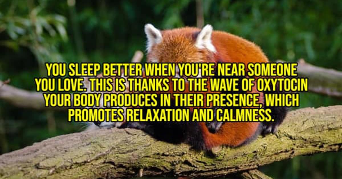 A gallery of the best happy facts and wholesome facts about animals, love, and history that will make you smile.