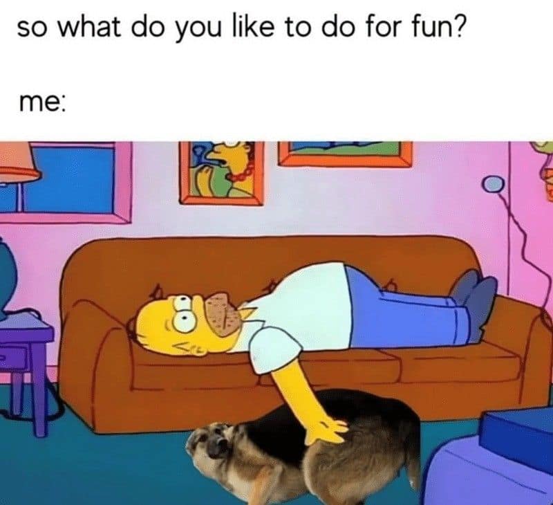 A funny meme using Homer Simpson and a dog to show a perfect way to relax.