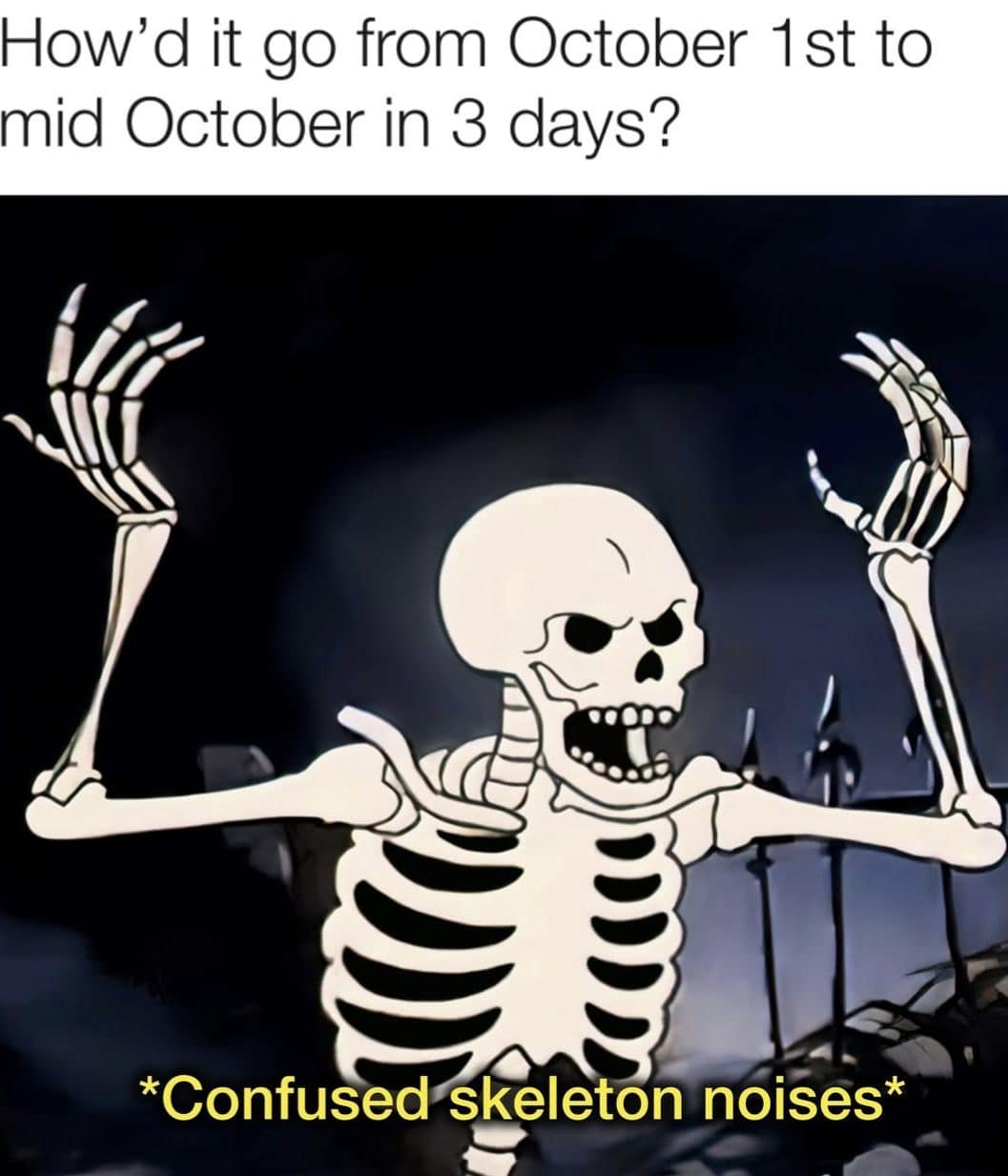 A funny meme with a confused skeleton that is perfect for the Halloween spooky season.