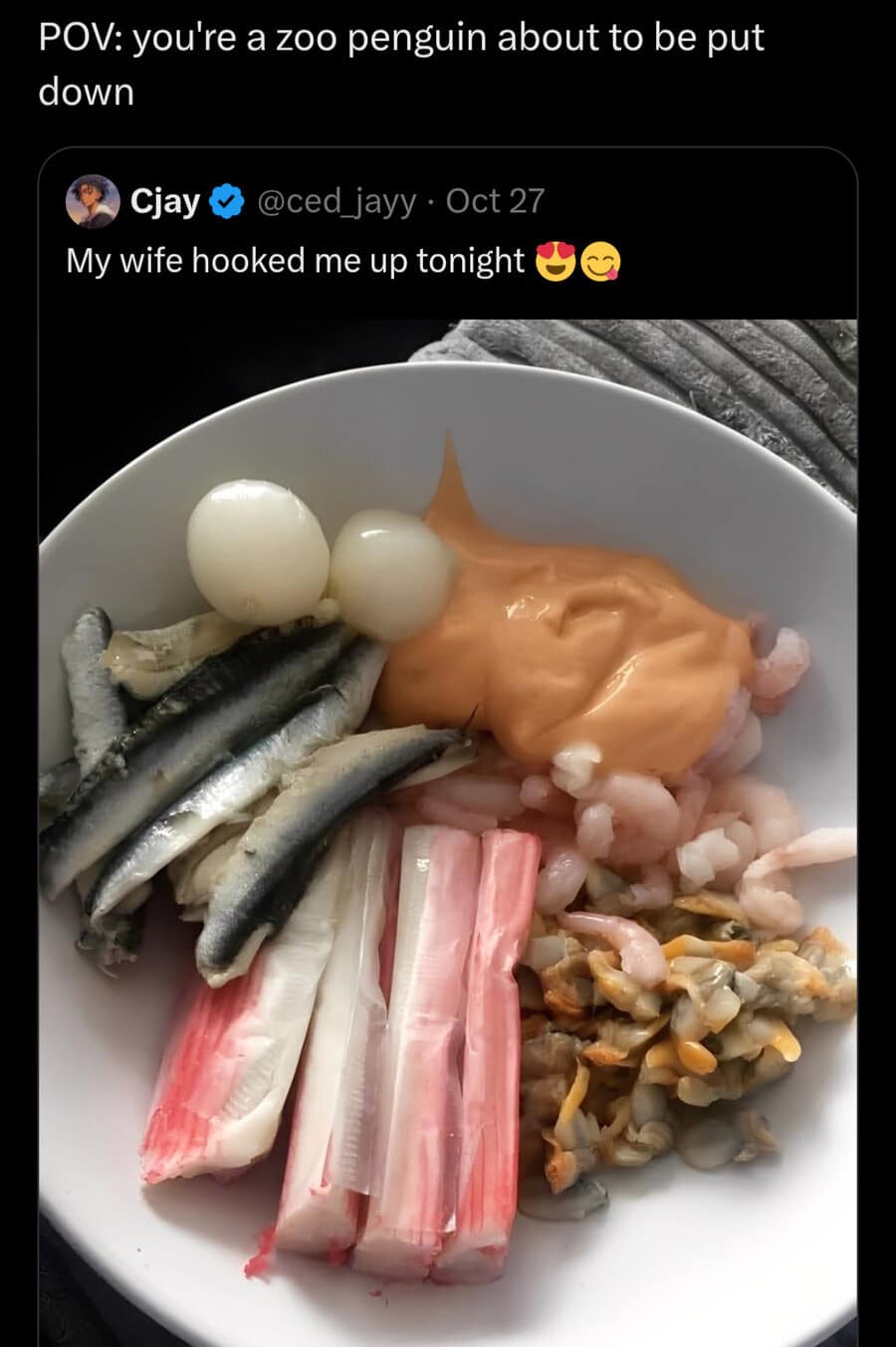A dark humor hilarious meme using POV format to compare a seafood platter to a penguin's last meal.