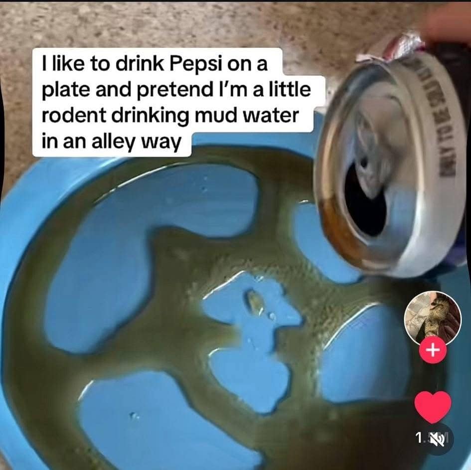 A hilarious meme showing a person pouring Pepsi onto a plate to pretend they are a rodent drinking mud water.