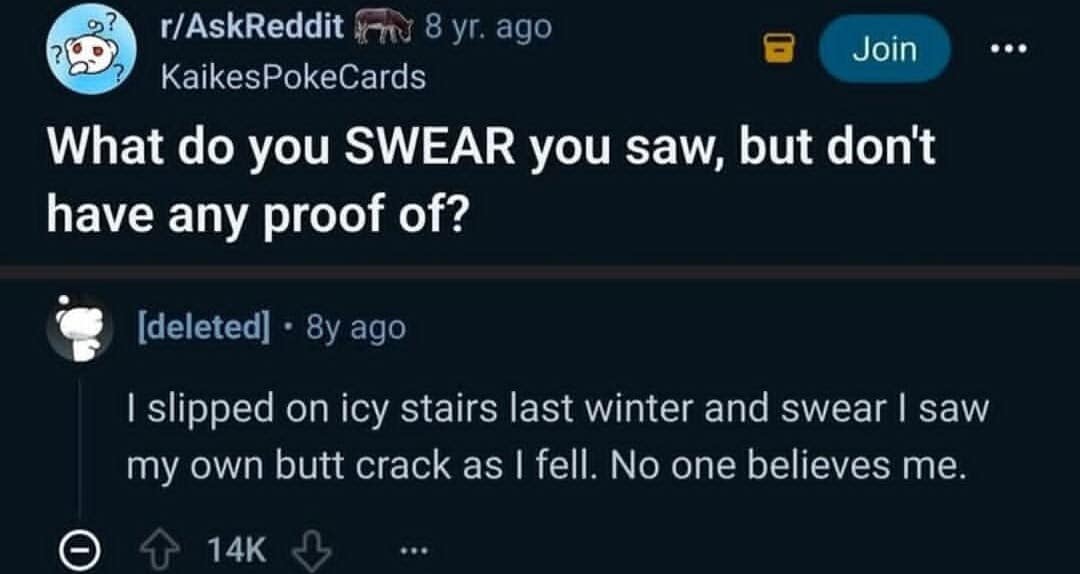 A hilarious meme of a Reddit comment swearing they saw their own butt crack while falling down stairs.