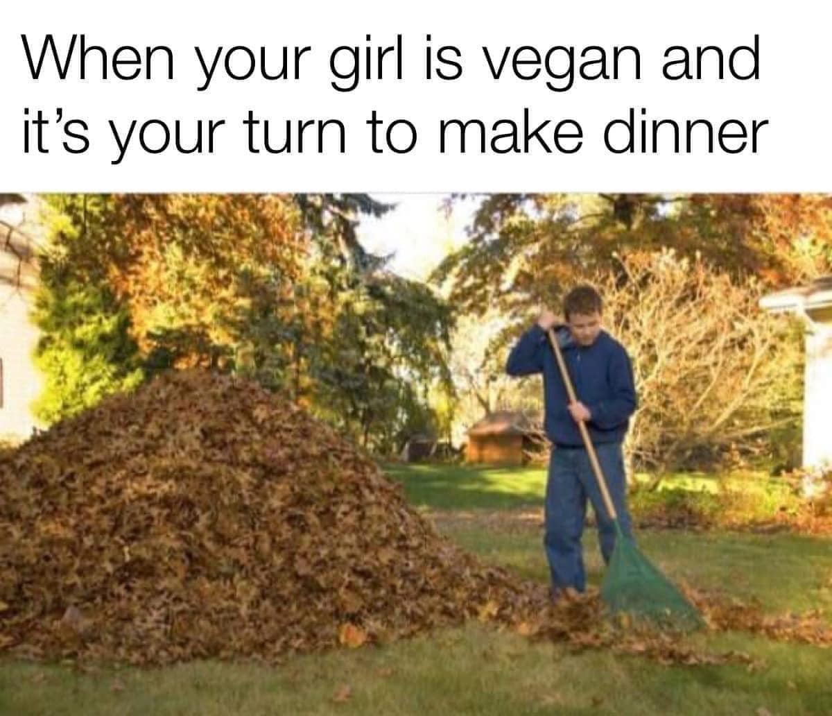 A funny meme for autumn that jokes about making dinner for a vegan by raking a pile of leaves.