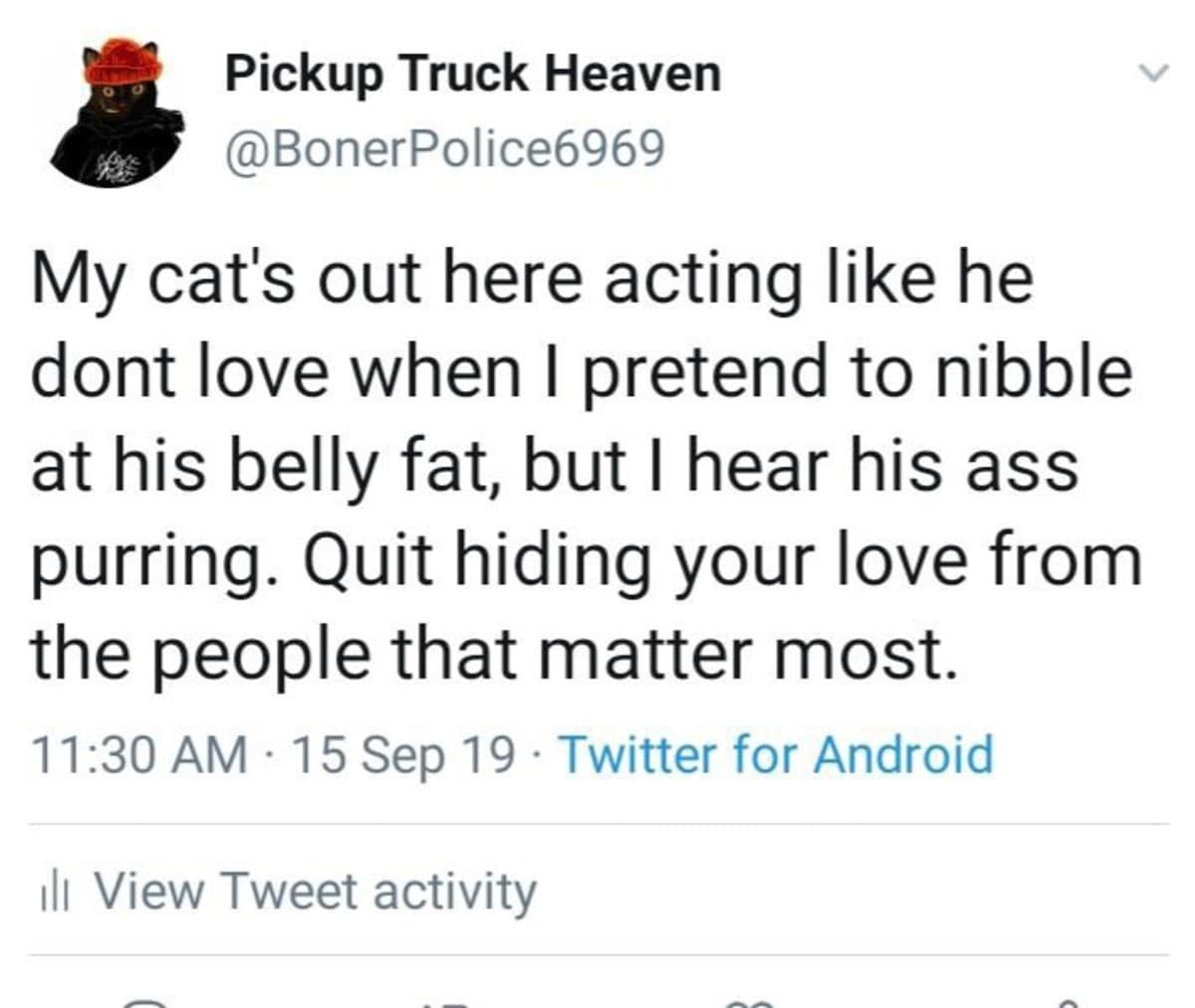 A funny meme tweet from a cat owner calling out their cat for pretending not to like affection.