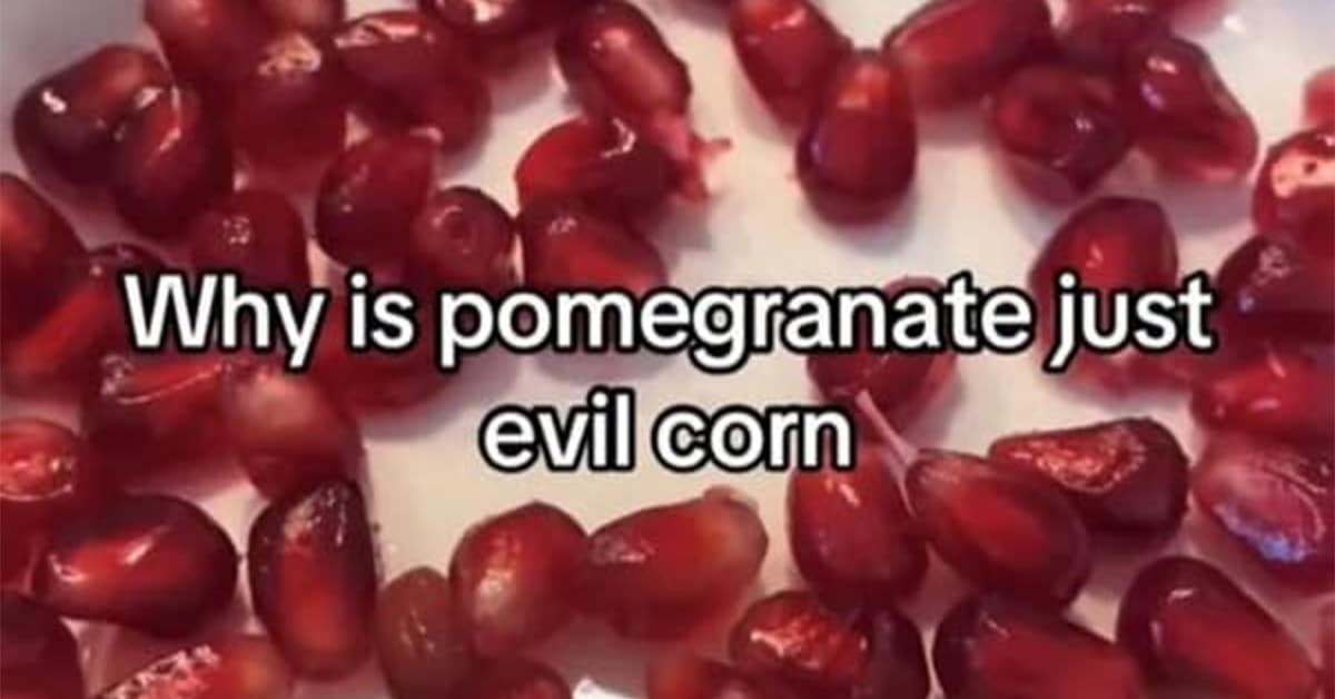 A meme dump gallery filled with a random and hilarious collection of the internet's funniest memes and viral tweets.