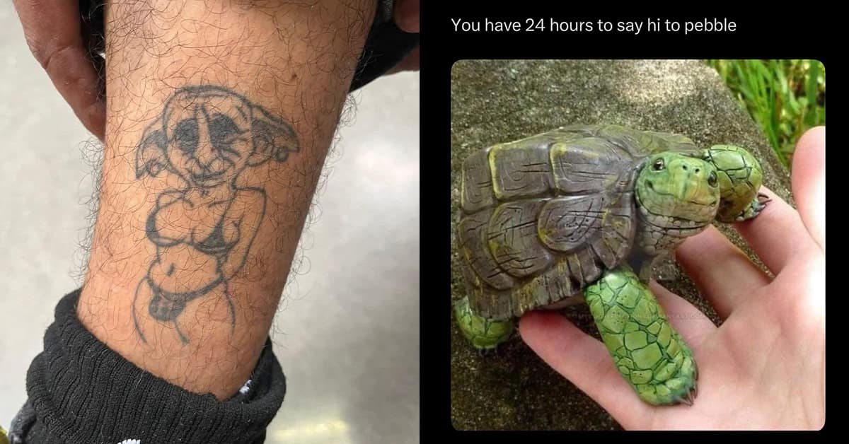 A meme dump gallery featuring a random and hilarious collection of the internet's funniest memes and viral moments.