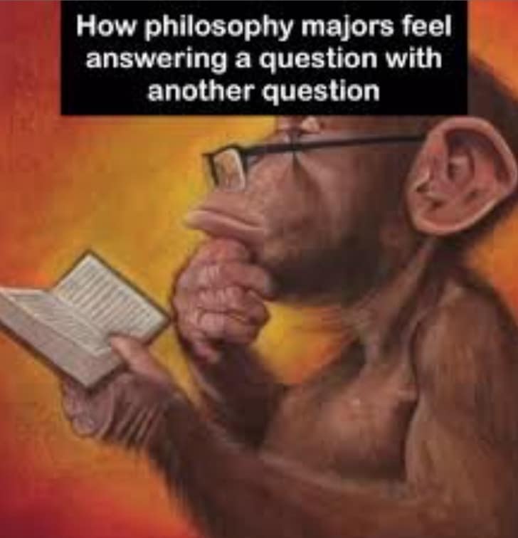 A thinking monkey philosophy meme accurately describing how philosophy majors answer questions with more questions.