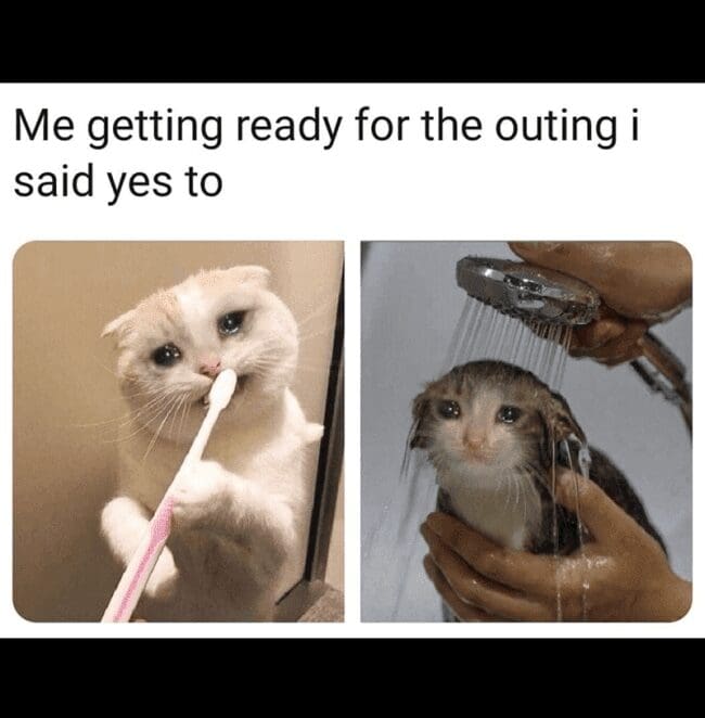 A funny and relatable meme using sad cat pictures to show the misery of getting ready for an outing.