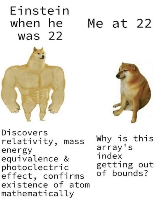 A relatable coding meme comparing Einstein's genius at age 22 to struggling with basic array errors.
