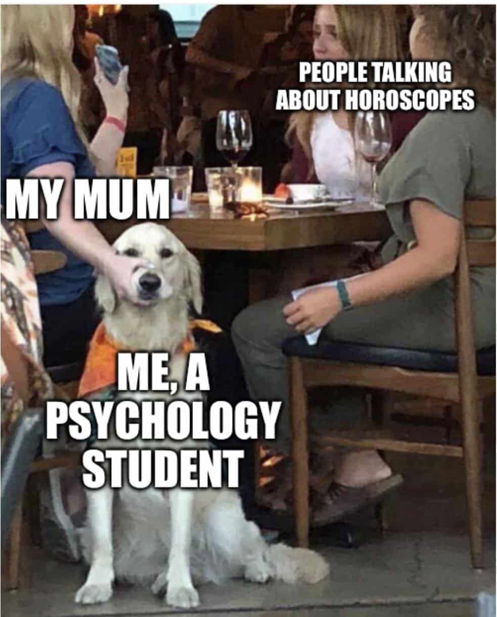 A funny psychology meme using a dog to show a student's pain listening to horoscopes.