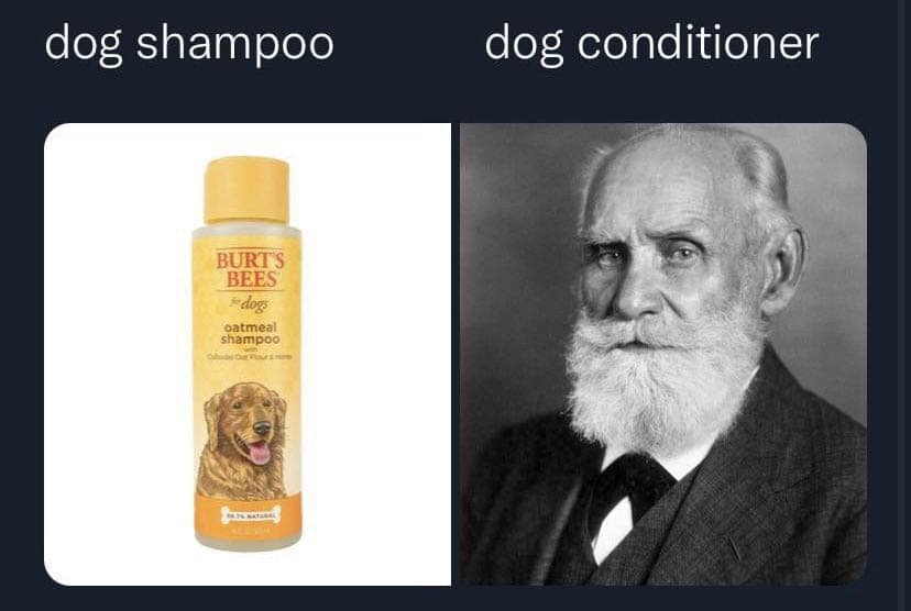 A clever psychology meme pun comparing dog conditioner to the famous psychologist Ivan Pavlov.