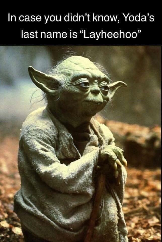 A funny Star Wars meme of Yoda with a caption joking that his last name is "Layheehoo."
